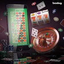55bet